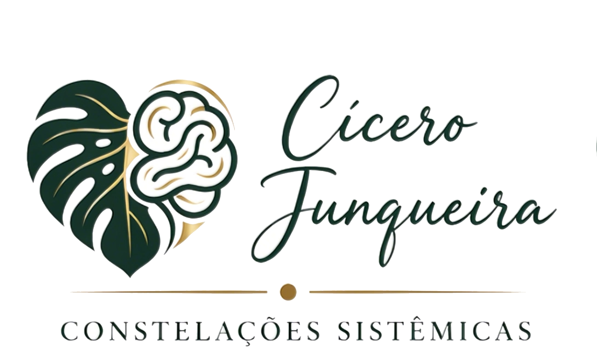 Cícero Junqueira · Constelações Sistêmicas
